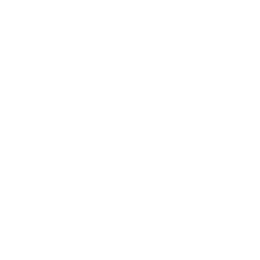 shield (1)